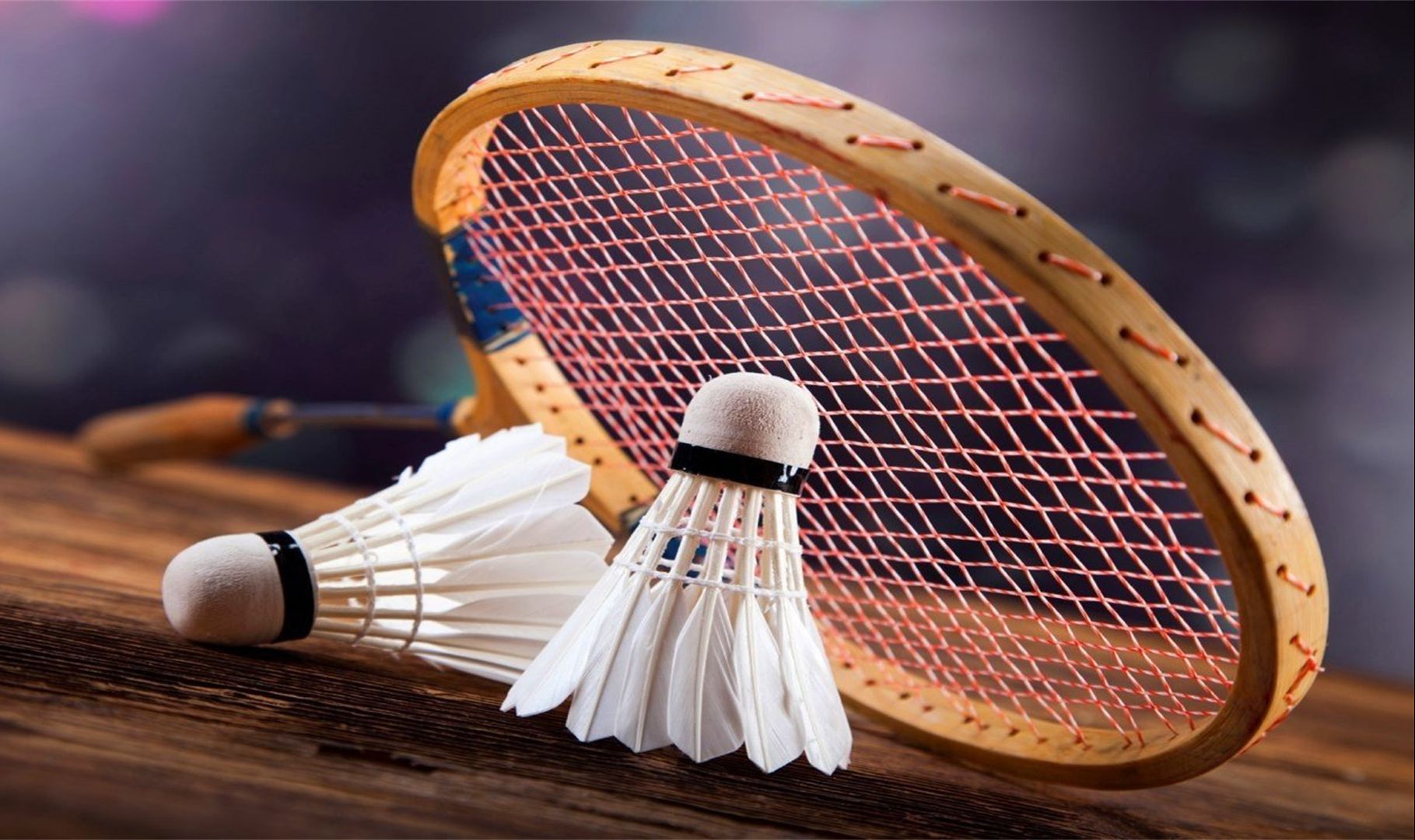 的观赏性 的观赏性